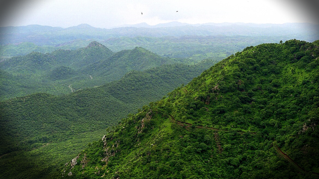 अरावली पर्वतमाला में अवैध माइनिंग और जंगलों की कटाई, जिससे रेगिस्तान का खतरा बढ़ रहा है